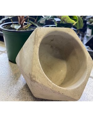 Evergarden Evergarden Ceramic Geo Pot 5"