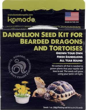 Komodo Products Komodo Dandelion Seed Kit For Bearded Dragons and Totoises