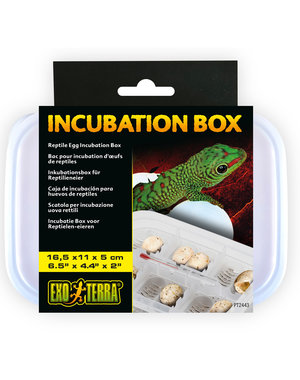Exo Terra Exo Terra Incubation Box