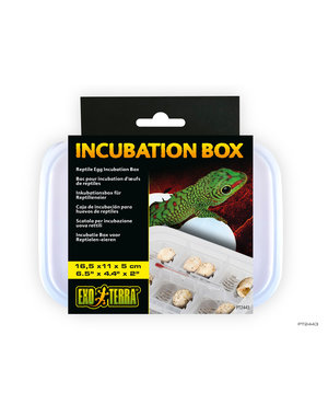 Exo Terra Exo Terra Incubation Box