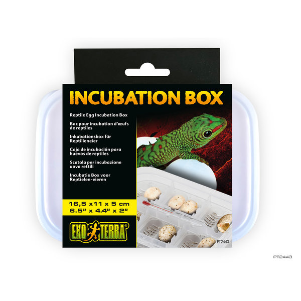 Exo Terra Exo Terra Incubation Box