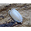 Big Bites Isopods - Porcellio Laevis (Smooth White) (12)