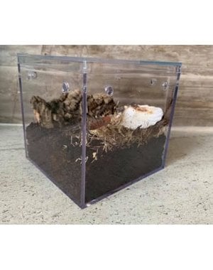  Acrylic Invert Cube 4"x4" - Empty