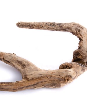 Aqua Globe Aquaglobe Blackwood