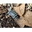 Pet Paradise Isopods - Armadillidium Maculatum (Zebra) (12)