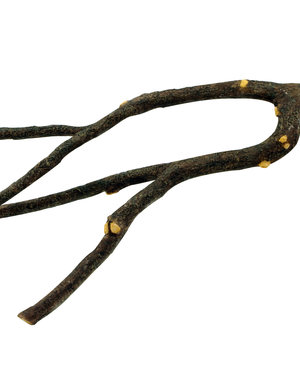 Living World Living World Nature's Perch - Large