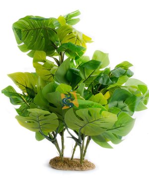 Aqua Globe AquaGlobe Monstera XL 16" high