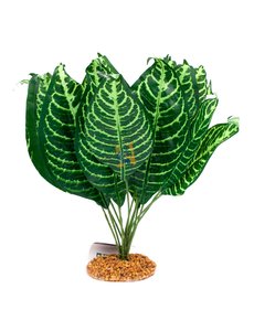 Aqua Globe Aquaglobe Silk Plant with Base - Zebra Japonica 15" High