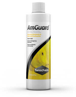 Seachem Laboratories Seachem AmGuard