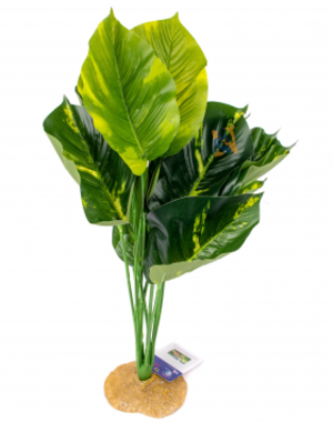 Aqua Globe Aquaglobe Red Japonica 15"