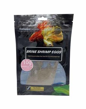 Catappa Canada Catappa Canada Brine Shrimp Eggs