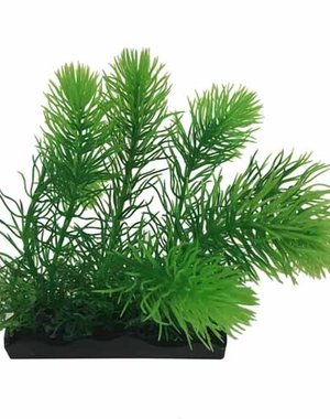 Penn-Plax Penn Plax Large Water Sprite Bunch Plant