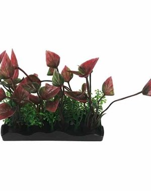 Penn-Plax Penn Plax Medium Green-Purple Bunch Plant