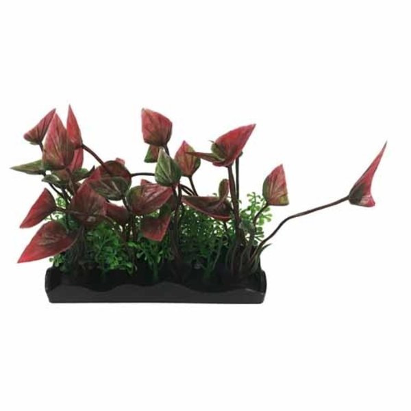 Penn-Plax Penn Plax Medium Green-Purple Bunch Plant