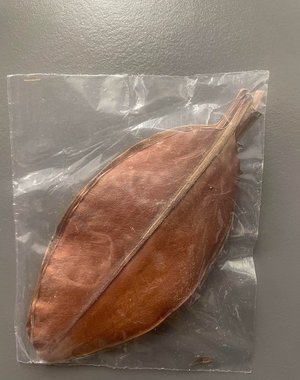 Newcal Pet NewCal Mangrove Leaves 10 pack