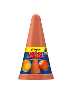 Tropical Tropical Kegel - Discus Spawning Cones
