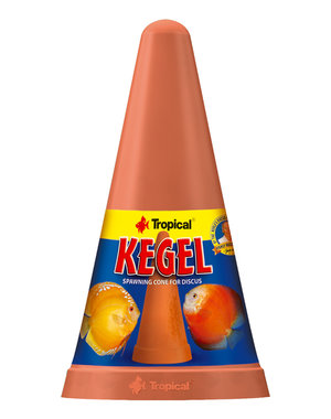 Tropical Tropical Kegel - Discus Spawning Cones
