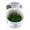 Tropica Tropica 1-2-Grow! Monosolenium tenerum