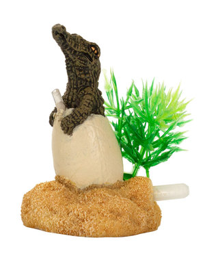 Burgham Aqua-Fit Aqua-Fit Deinosuchus Dino Egg