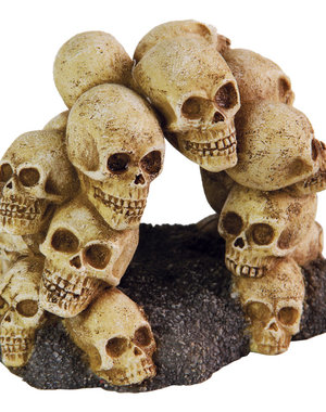 Burgham Aqua-Fit Aqua-Fit Skull Arch