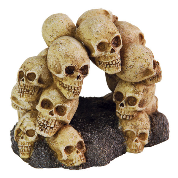 Burgham Aqua-Fit Aqua-Fit Skull Arch