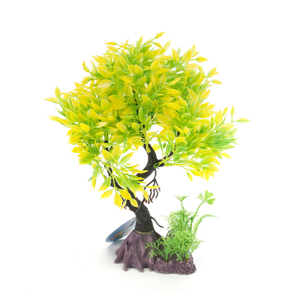 Burgham Aqua-Fit Aqua-Fit Green Yellow Juniper Upright Bonsai 8"