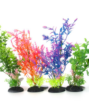 Burgham Aqua-Fit Aqua-Fit Assorted Anacharis 5"