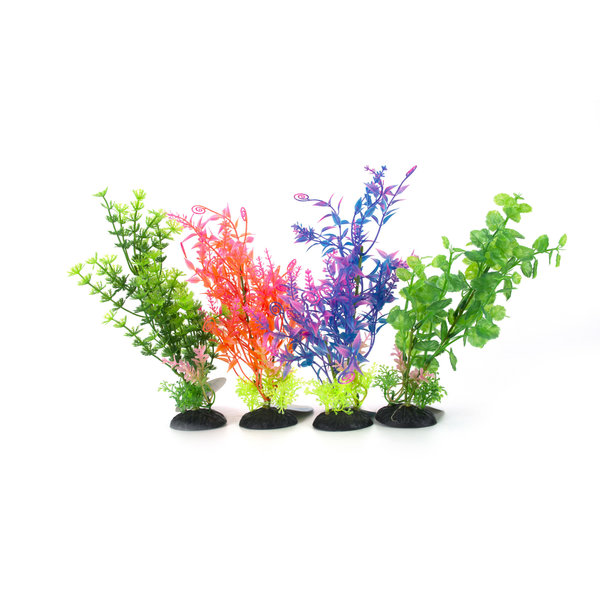 Burgham Aqua-Fit Aqua-Fit Assorted Anacharis 5"