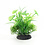 Aqua-Fit Aqua-Fit Green Fern Plant 4"