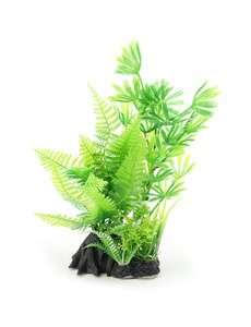 Aqua-Fit Aqua-Fit Leafy Fern Combo Plant 7"