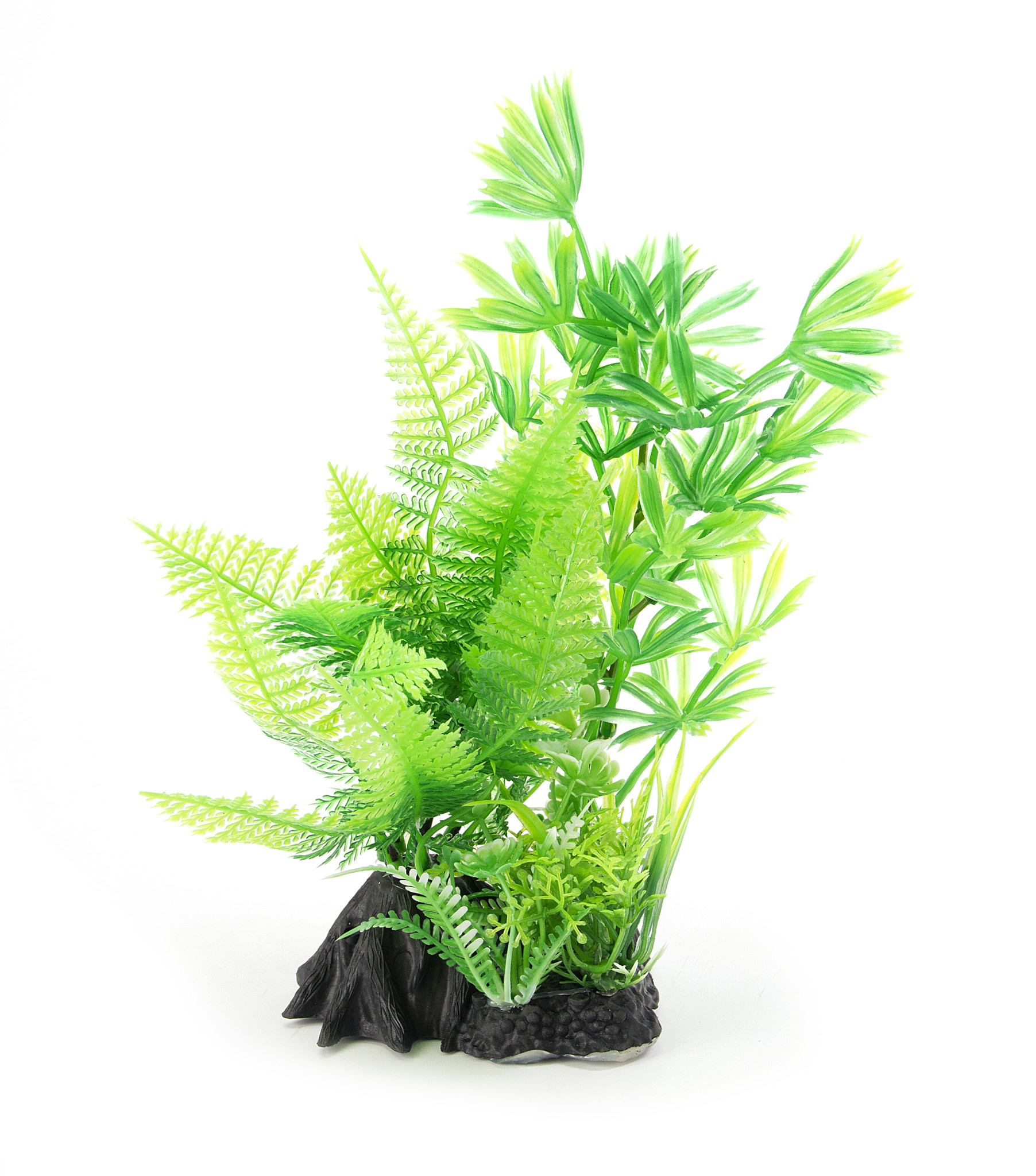 Aqua-Fit Aqua-Fit Leafy Fern Combo Plant 7"