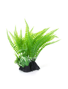 Aqua-Fit Aqua-Fit Green Fern Plant 7"