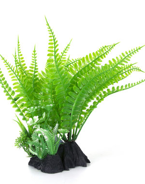 Burgham Aqua-Fit Aqua-Fit Green Fern Plant 7"