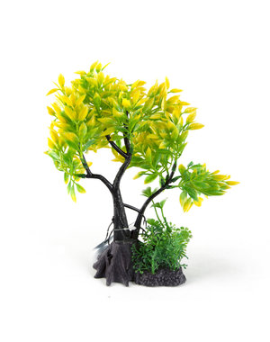 Aqua-Fit Aqua-Fit Yellow Juniper Bonsai 7"
