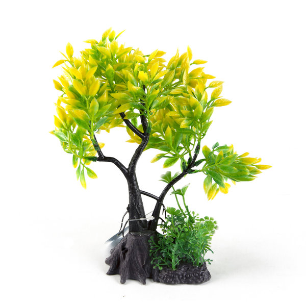 Aqua-Fit Aqua-Fit Yellow Juniper Bonsai 7"