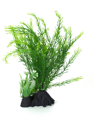 Burgham Aqua-Fit Aqua-Fit Green Cabomba Plant 7"