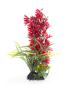 Aqua-Fit Aqua-Fit Red Leaf Plant 11"