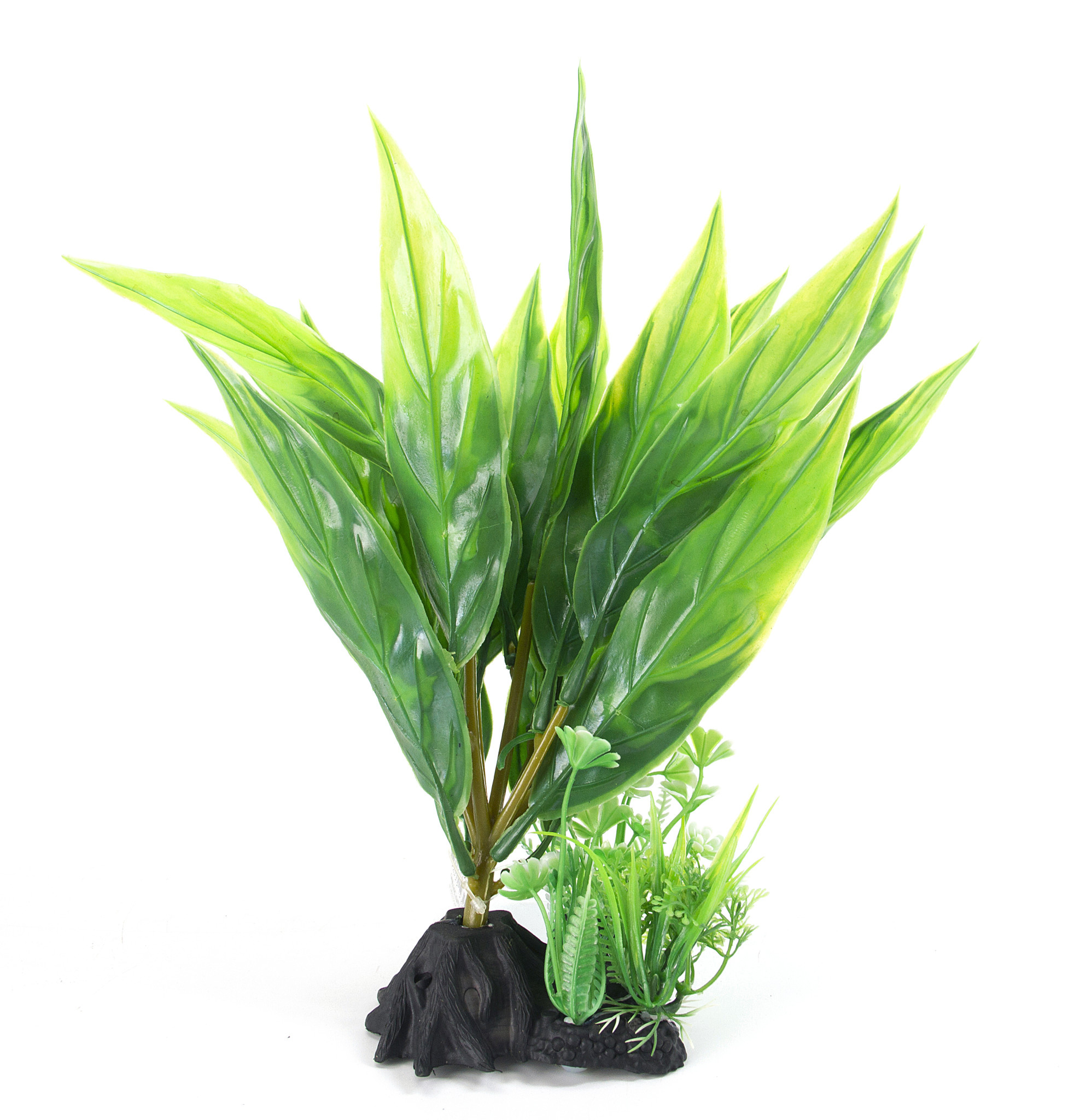 Aqua-Fit Aqua-Fit Green Broad Leaf Plant 8"