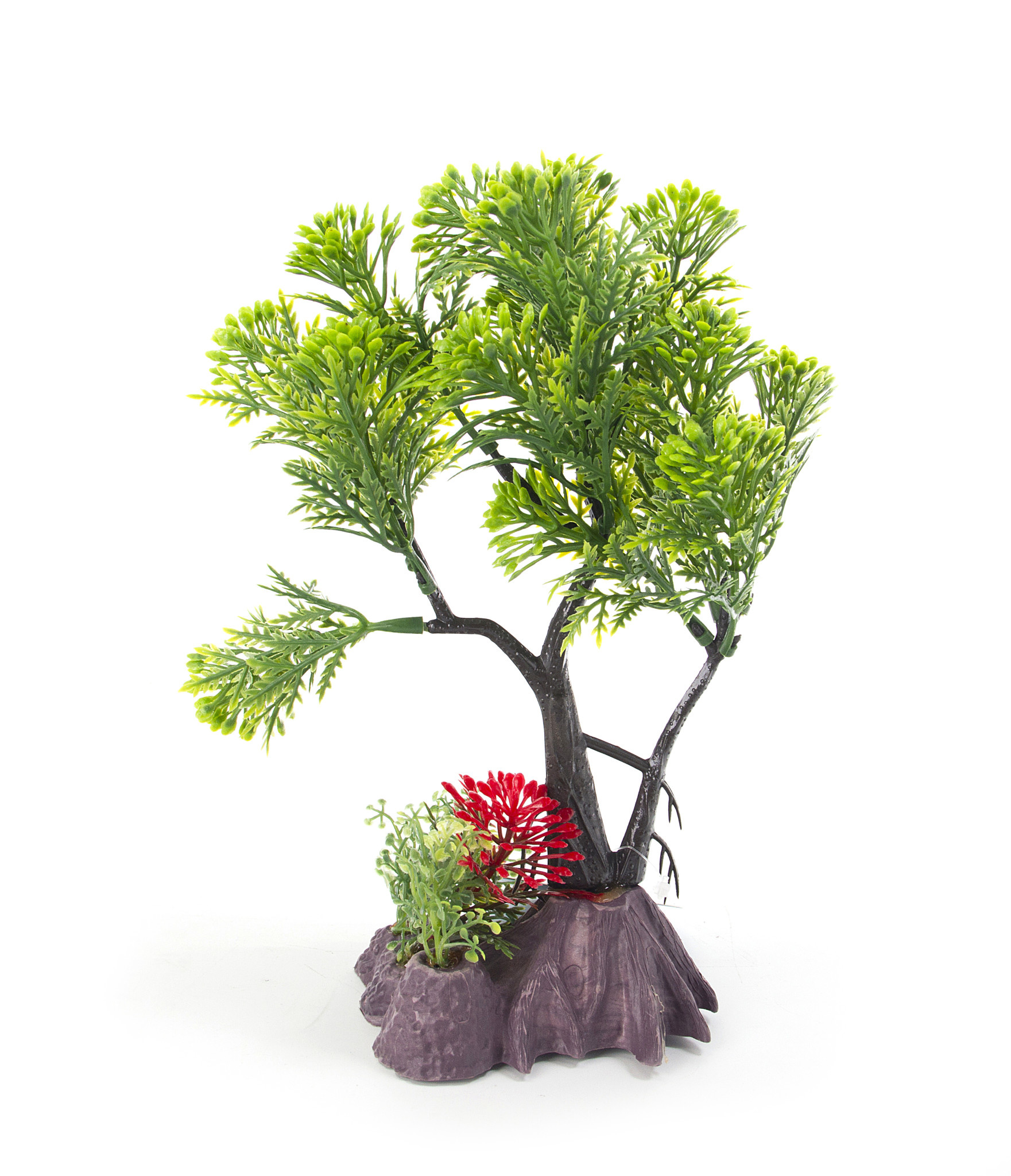 Aqua-Fit Aqua-Fit Green Pine Upright Bonsai 7"