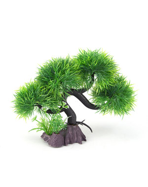 Aqua-Fit Aqua-Fit Green Spiky Bonsai 11"