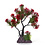 Burgham Aqua-Fit Aqua-Fit Red Pine Upright Bonsai 7"