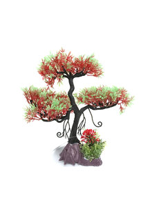 Aqua-Fit Aqua-Fit Red Pine Upright Bonsai 11"
