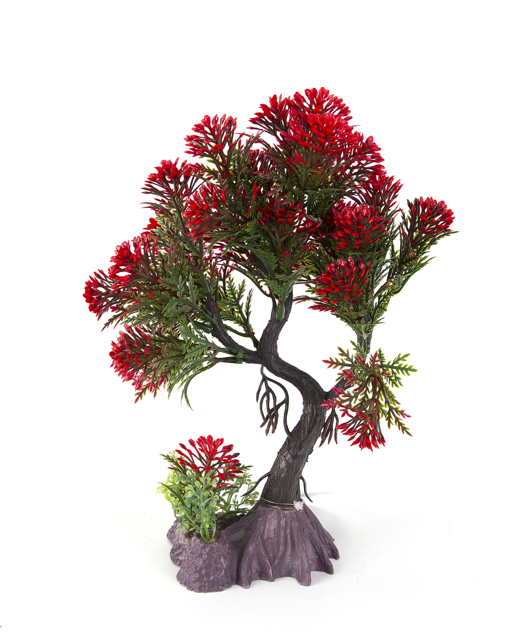 Aqua-Fit Aqua-Fit Red Pine Upright Bonsai 11"