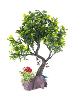 Burgham Aqua-Fit Aqua-Fit Green Juniper  Bonsai 8"