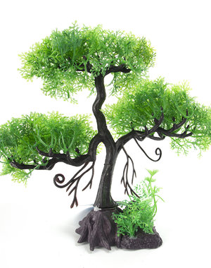 Burgham Aqua-Fit Aqua-Fit Green Cedar Upright Bonsai 11"