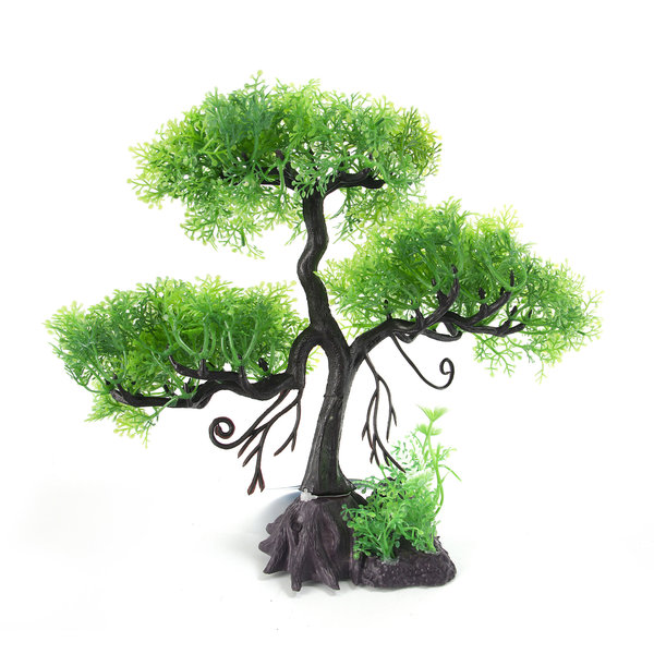 Burgham Aqua-Fit Aqua-Fit Green Cedar Upright Bonsai 11"