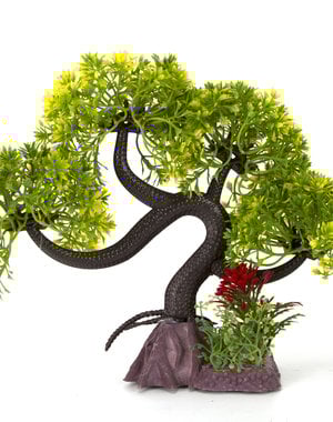Burgham Aqua-Fit Aqua-Fit Green Slanting  Bonsai 11"