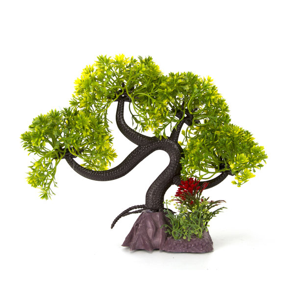 Burgham Aqua-Fit Aqua-Fit Green Slanting  Bonsai 11"