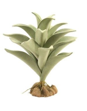 Zoo Med Laboratories Zoo Med Desert Flora Silver Mullein