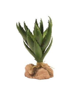 Zoo Med Laboratories Zoo Med Desert Flora Green Aloe